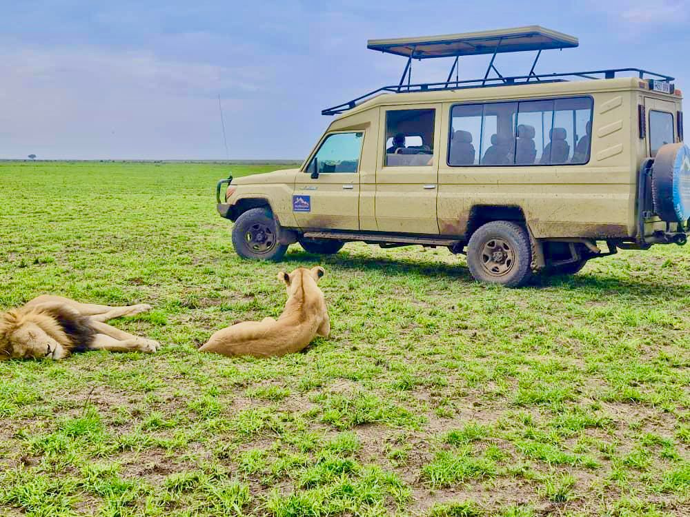 10-Day Ultimate Luxury Tanzania Safari Kili Hike Adventures