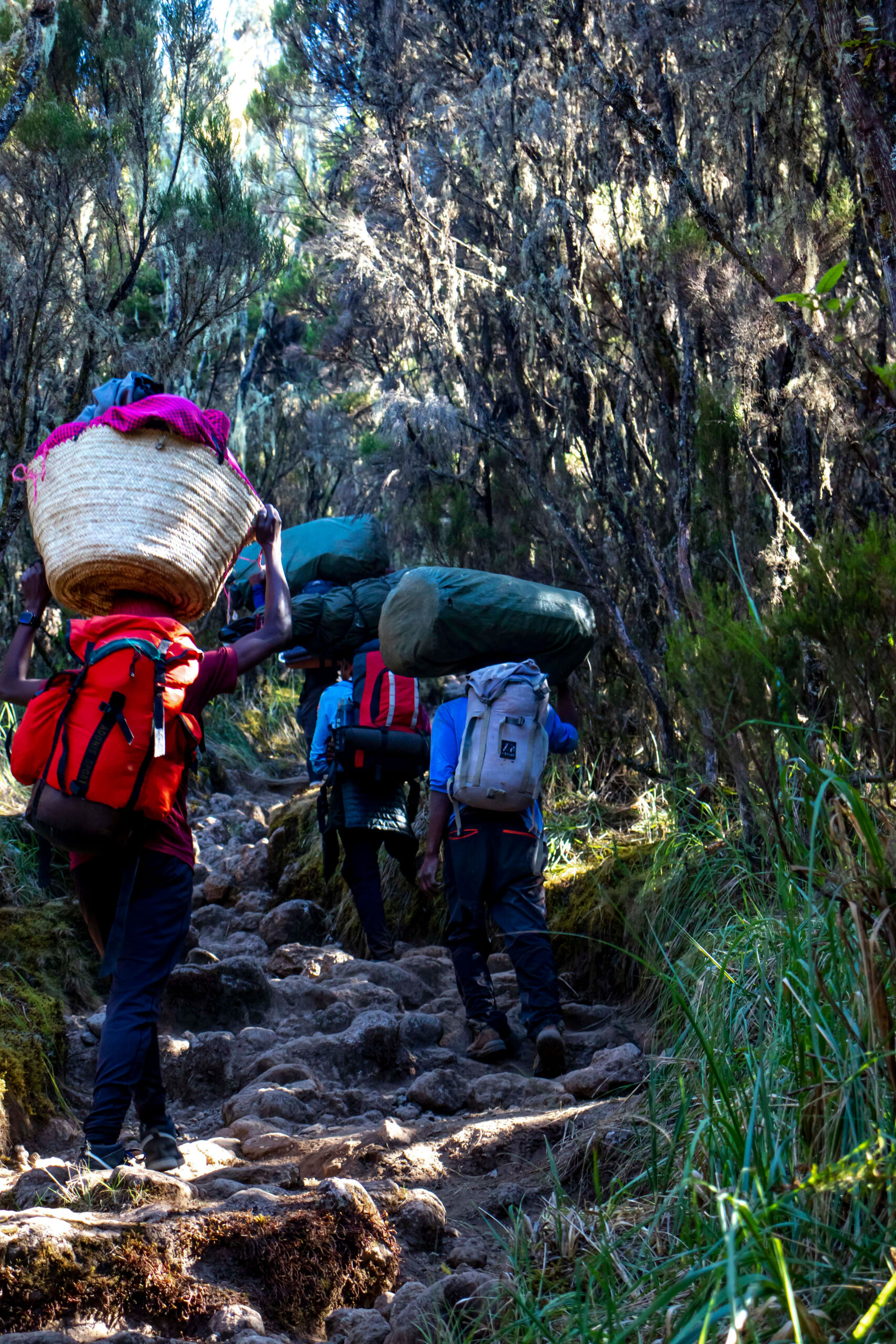 THE 13 BIGGEST MISTAKES PEOPLE MAKE CLIMBING KILIMANJARO Kili Hike Adventures