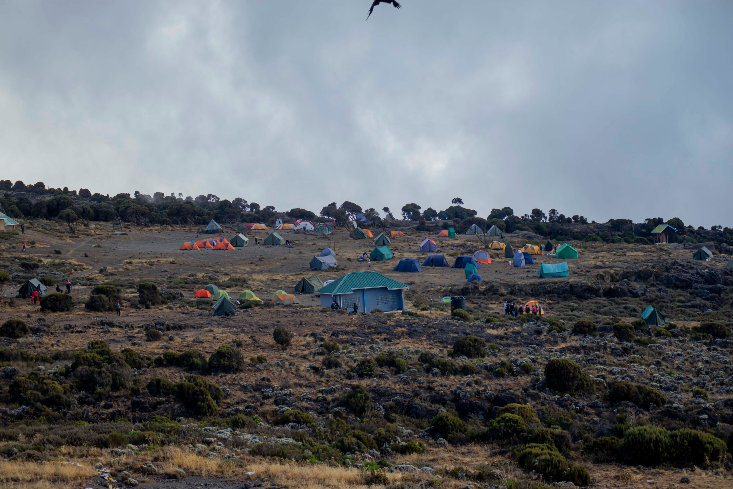 THE 13 BIGGEST MISTAKES PEOPLE MAKE CLIMBING KILIMANJARO Kili Hike Adventures