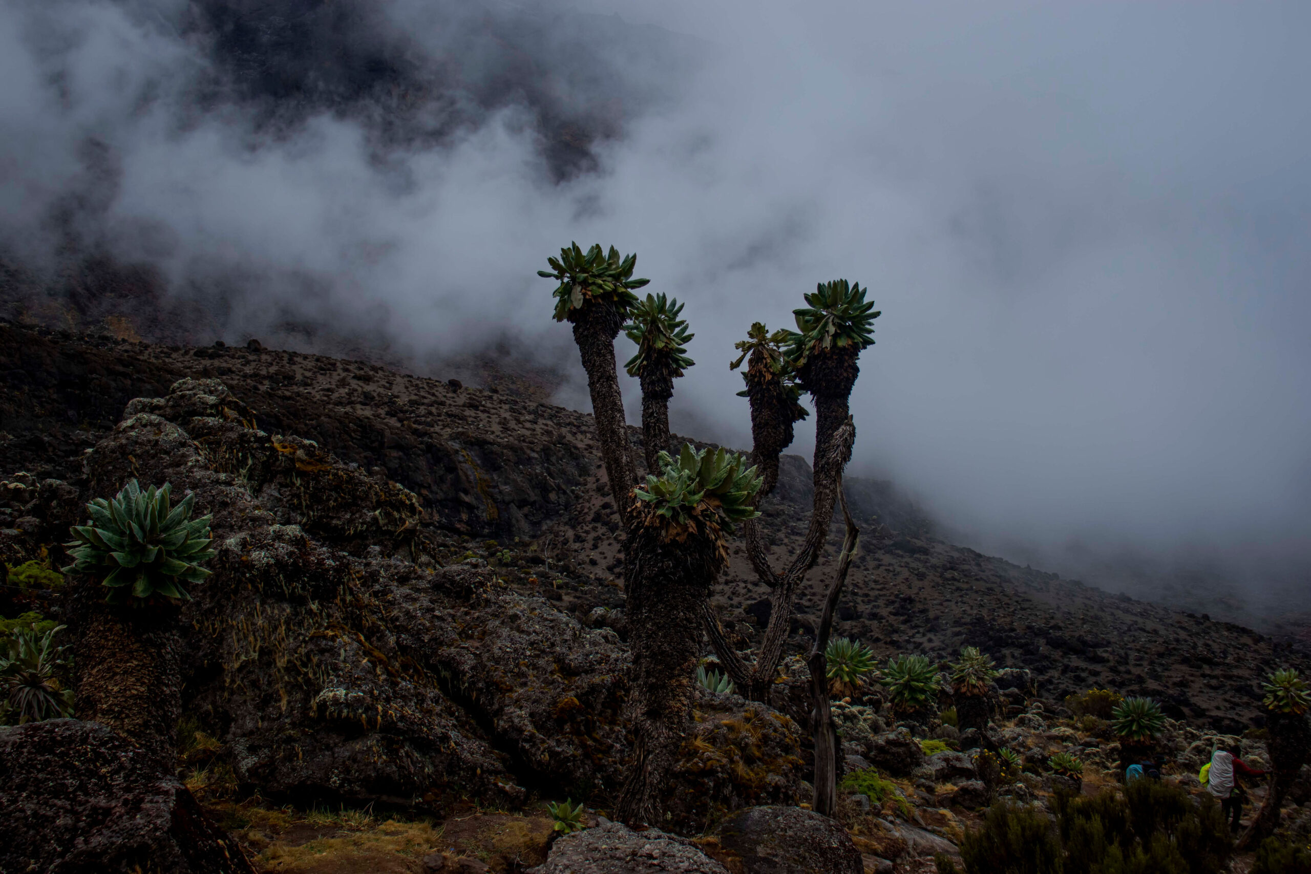 THE 13 BIGGEST MISTAKES PEOPLE MAKE CLIMBING KILIMANJARO Kili Hike Adventures